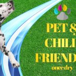 pro kleen artificial grass cleaner with kids and pets