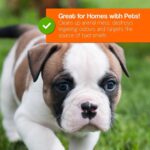 pro kleen artificial grass cleaner with pets